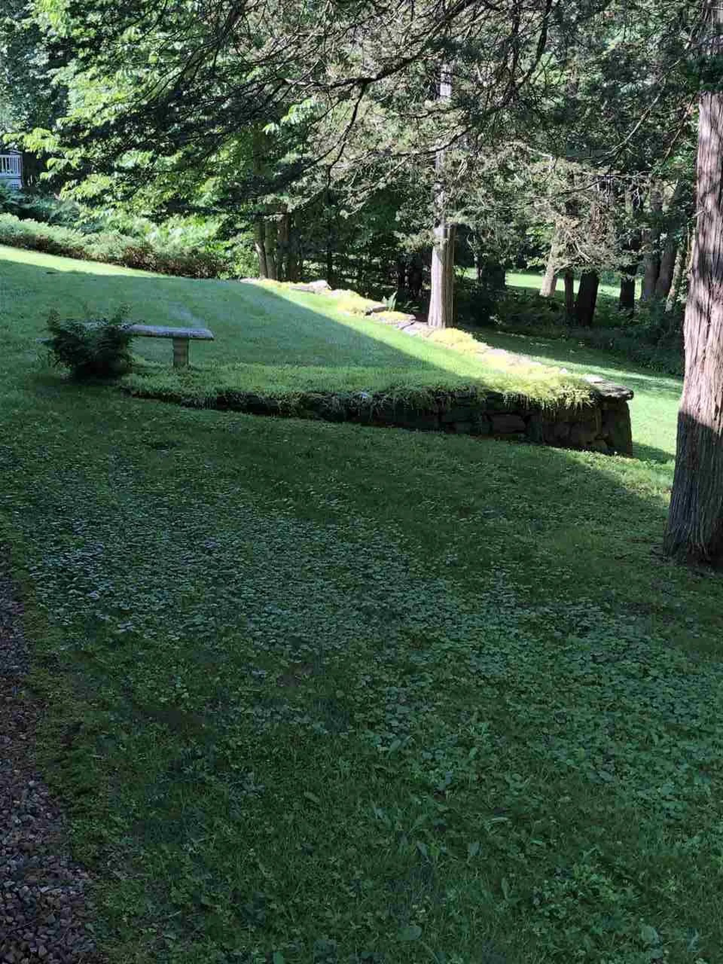 196 Pinehurst Drive Shelburne VT 05482