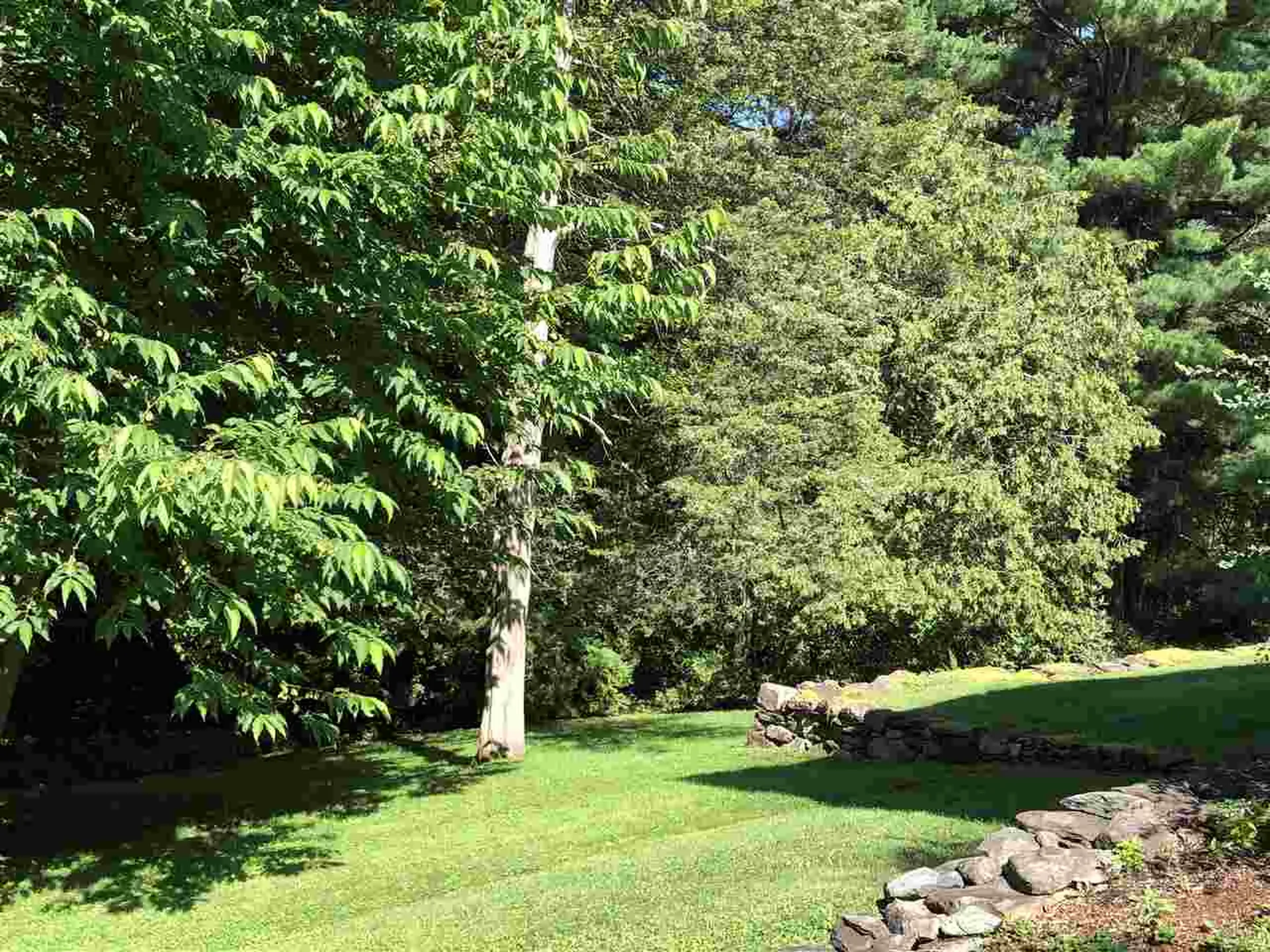 196 Pinehurst Drive Shelburne VT 05482
