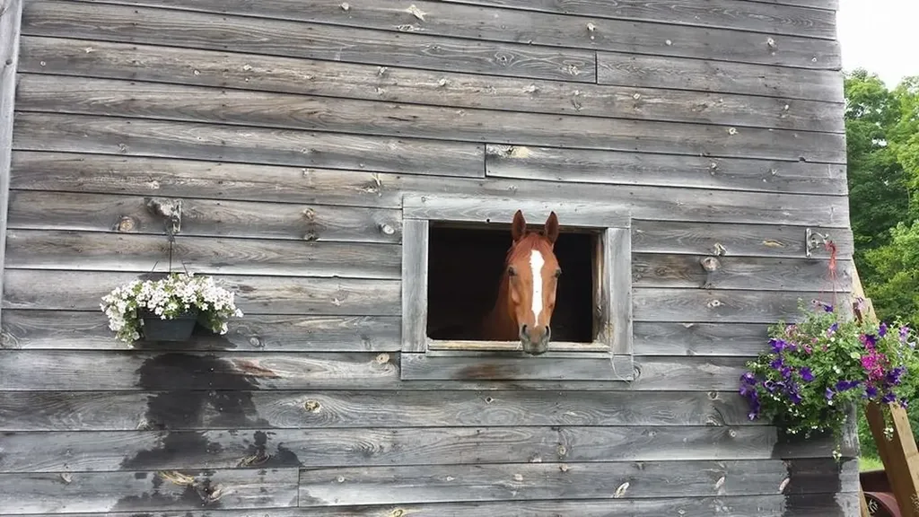 164 Laclair Road Shaftsbury VT 05262