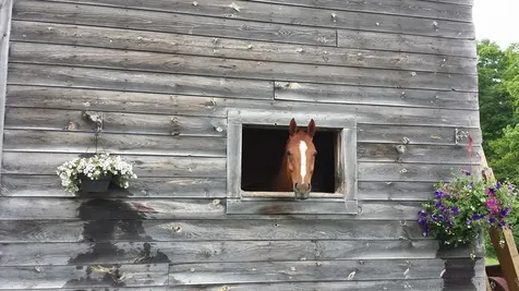 164 Laclair Road Shaftsbury VT 05262