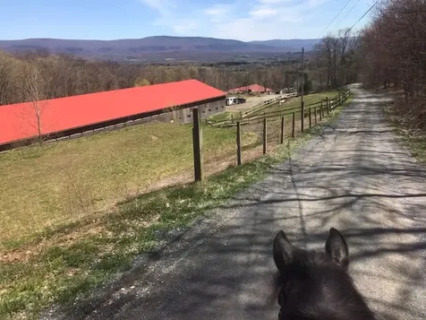 164 Laclair Road Shaftsbury VT 05262