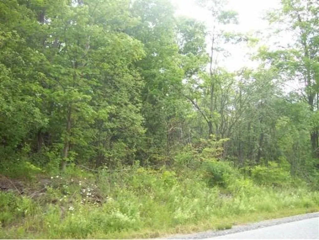 60 Donaldson Road Swanton VT 05488