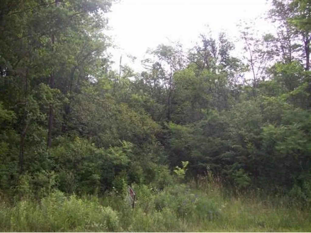 60 Donaldson Road Swanton VT 05488