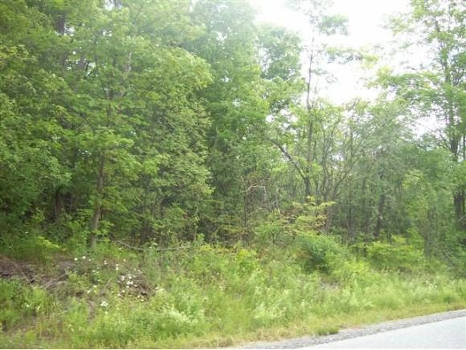 60 Donaldson Road Swanton VT 05488