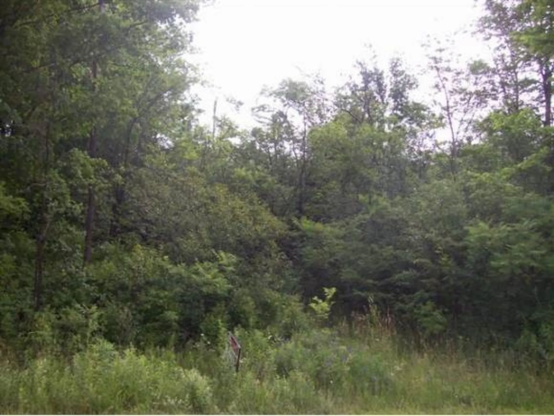 60 Donaldson Road Swanton VT 05488