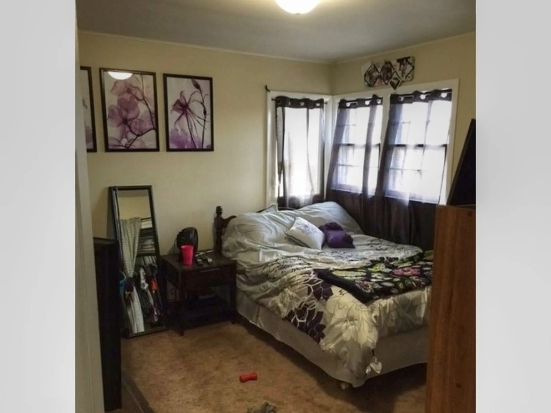 502-510 South Willard Street Burlington VT 05401