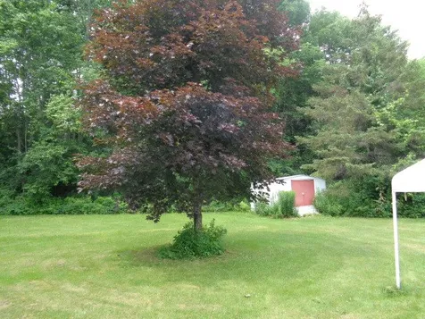 113 Crab Apple Ridge Randolph VT 05060