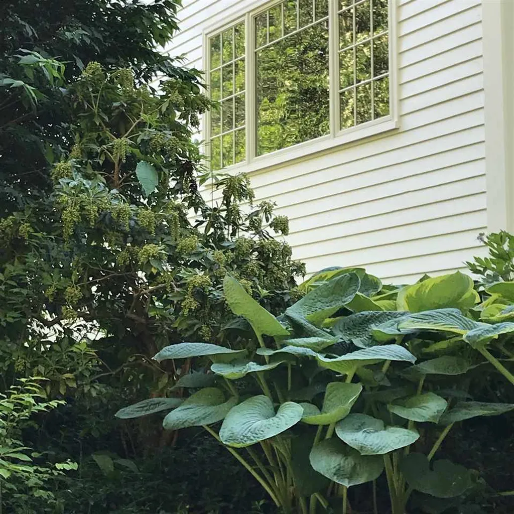 2 Penhollow Lane Hampton Falls NH 03844