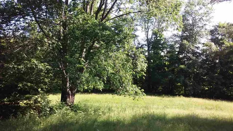 2390 Dartt Hill Road Bethel VT 05032