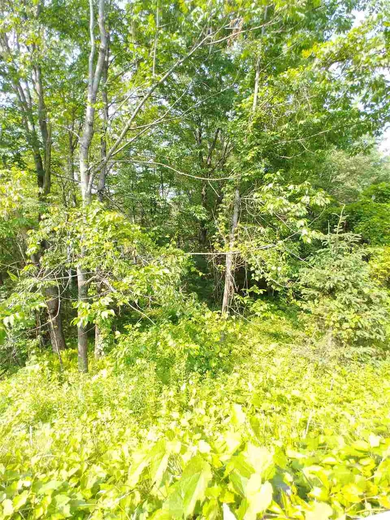 00 Scotch Hollow Road Newbury VT 05051