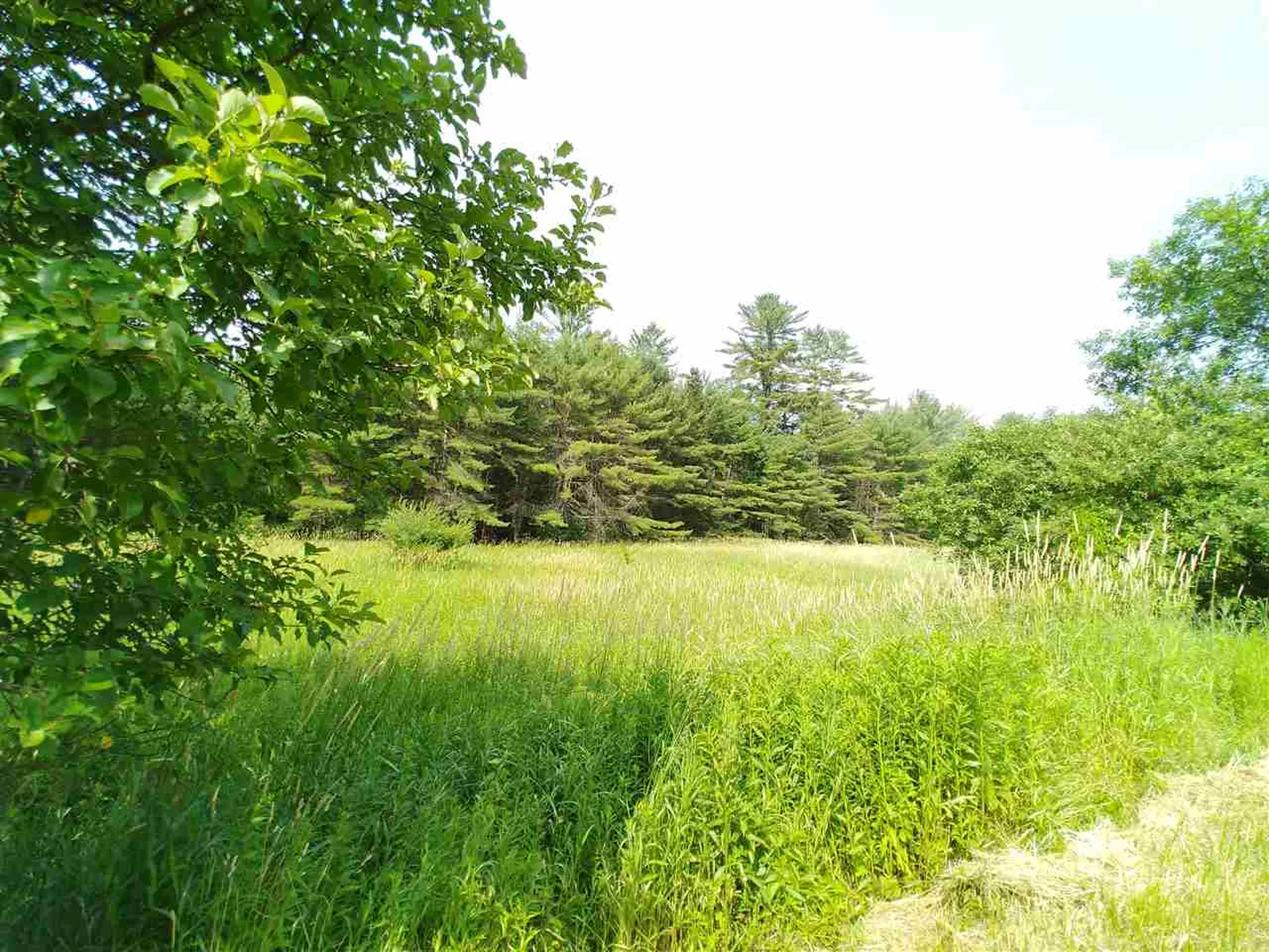 00 Scotch Hollow Road Newbury VT 05051
