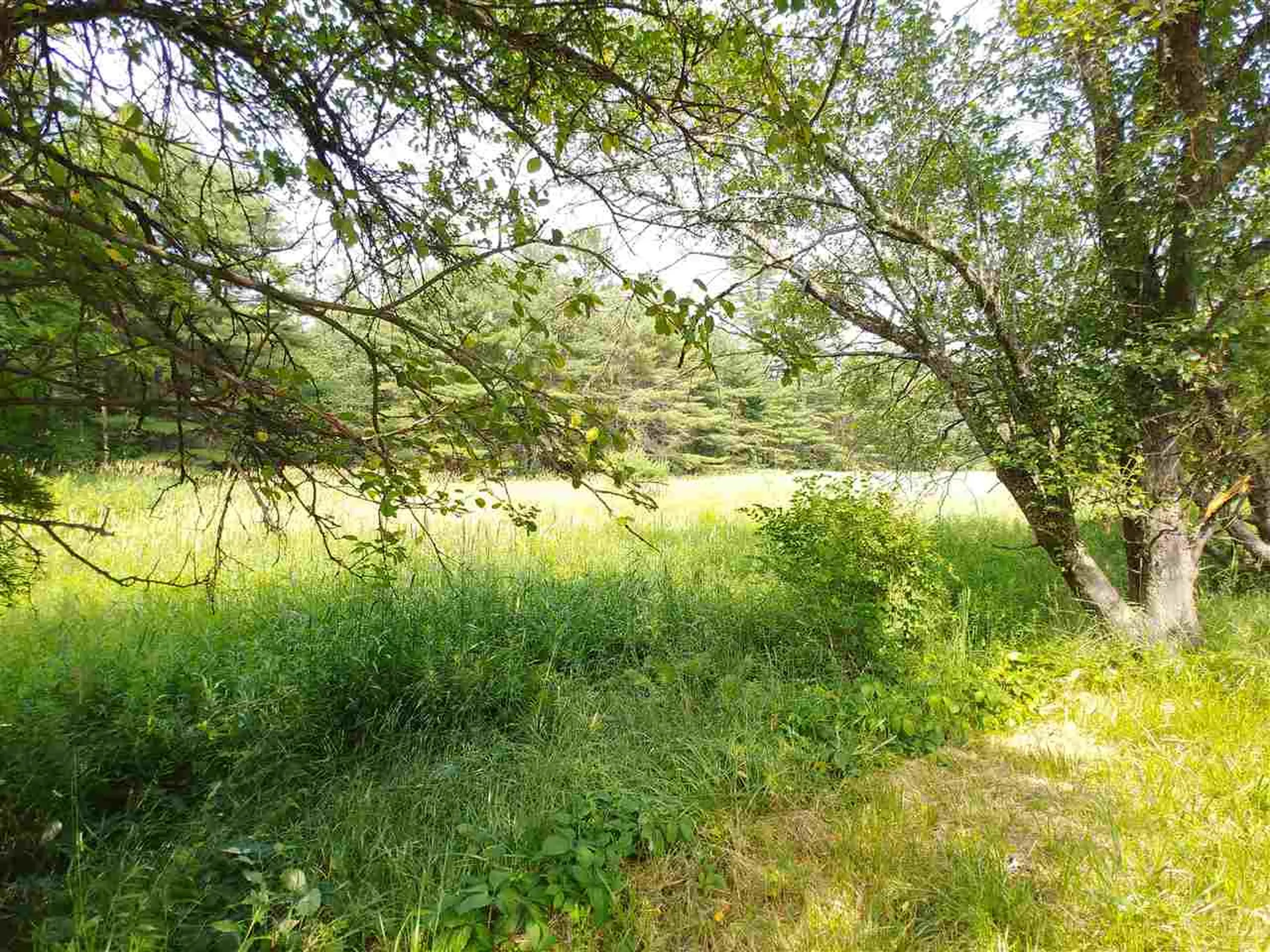 00 Scotch Hollow Road Newbury VT 05051