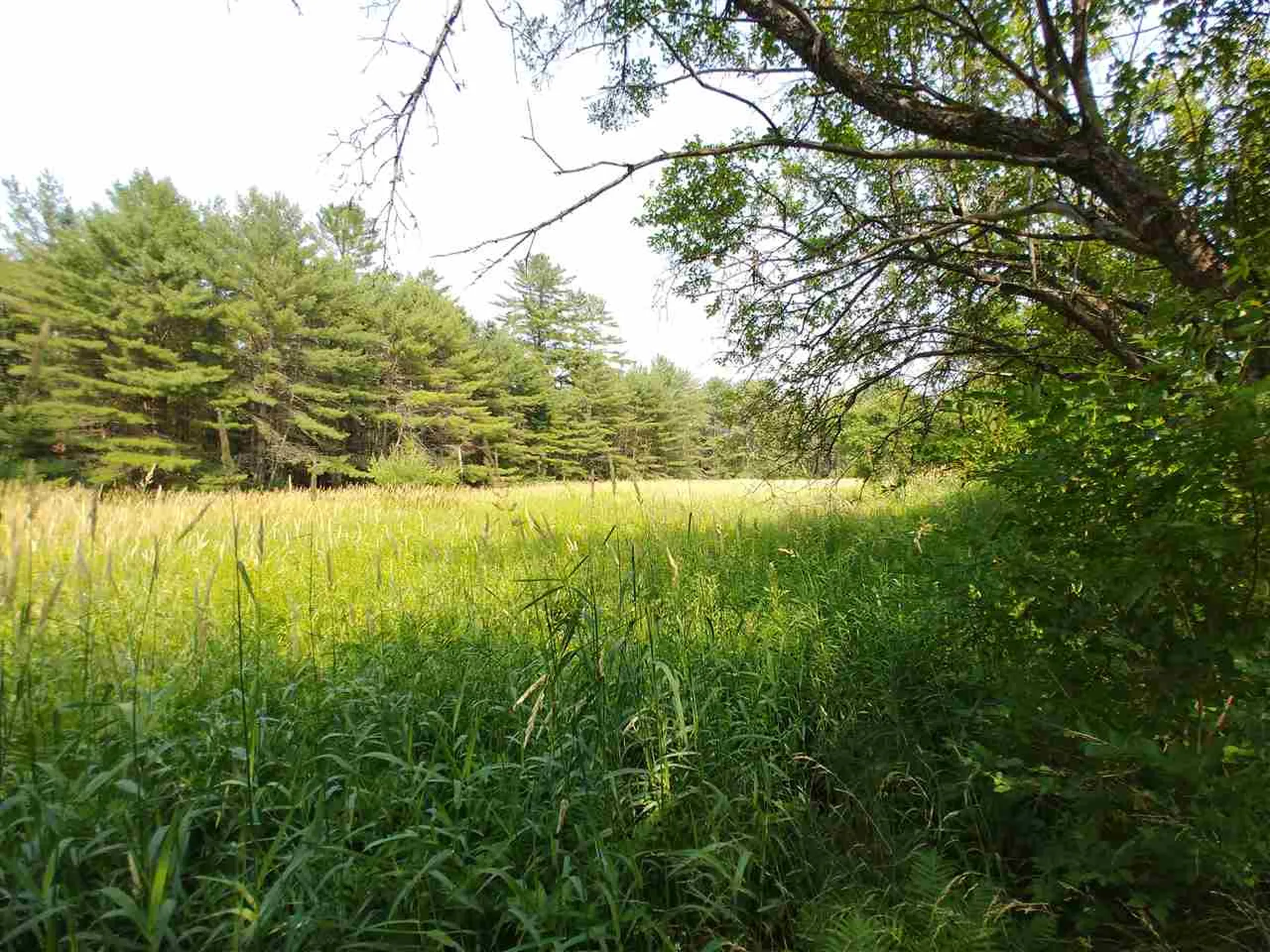 00 Scotch Hollow Road Newbury VT 05051