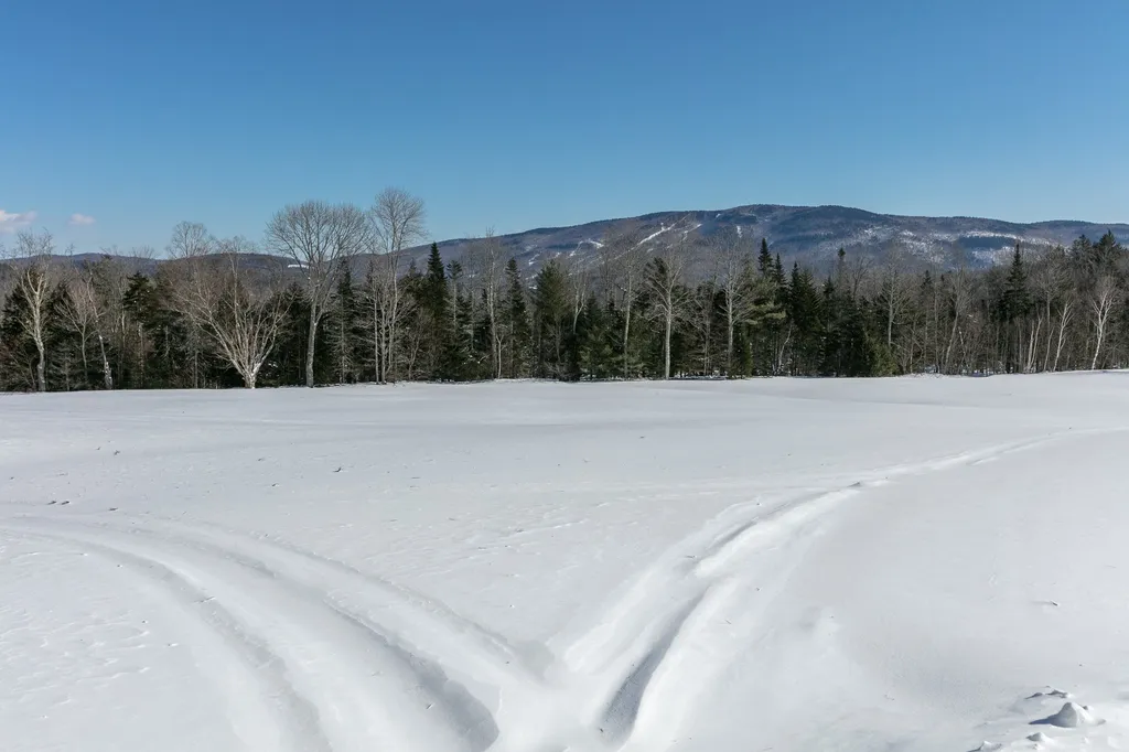 474 Horton Road Londonderry VT 05155