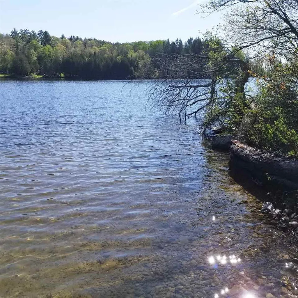 0 Martins Pond Lane Peacham VT 05862