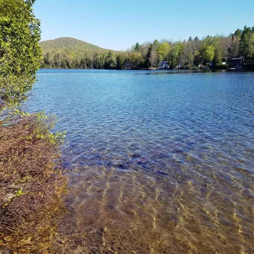 0 Martins Pond Lane Peacham VT 05862