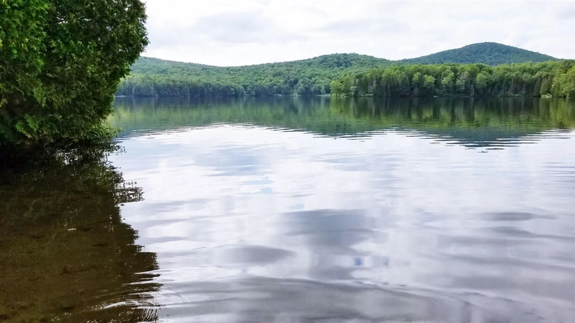 0 Martins Pond Lane Peacham VT 05862