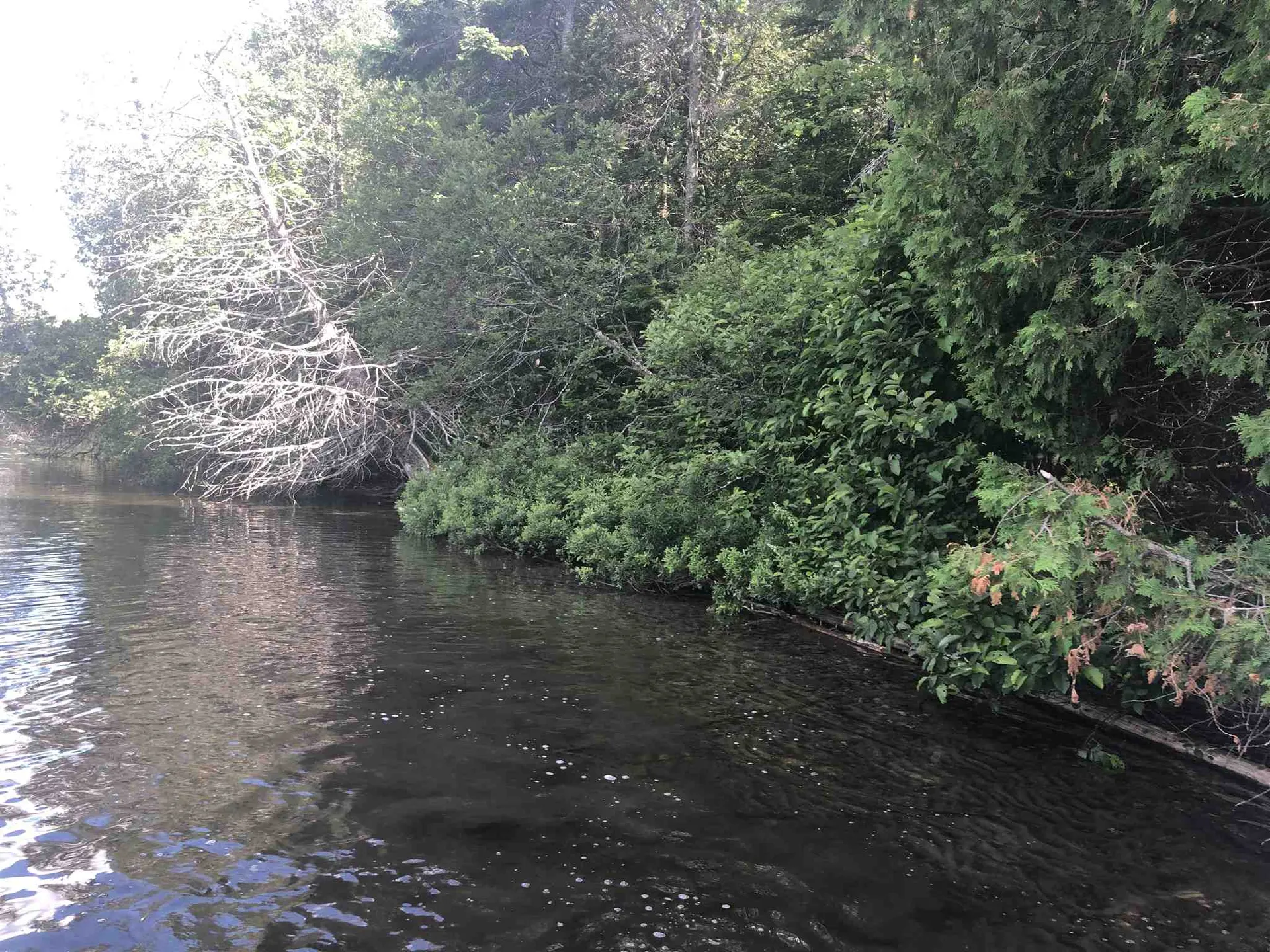 0 Martins Pond Lane Peacham VT 05862