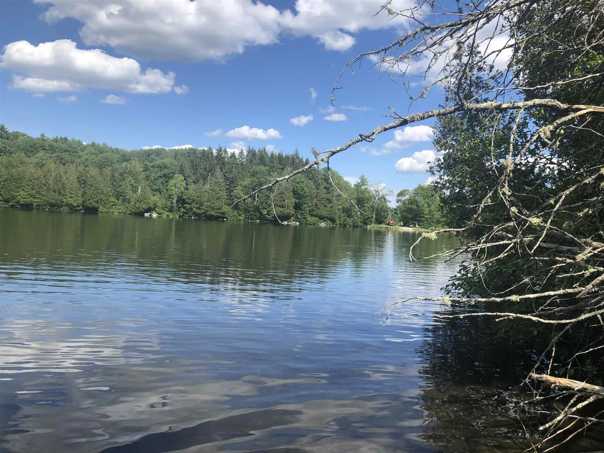 0 Martins Pond Lane Peacham VT 05862