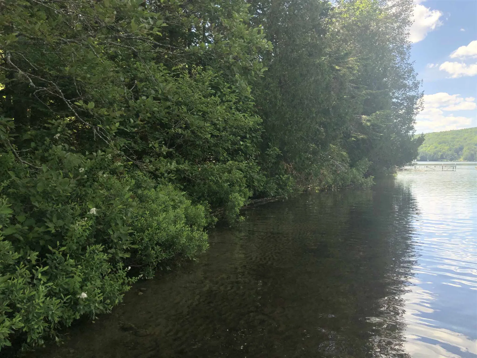 0 Martins Pond Lane Peacham VT 05862
