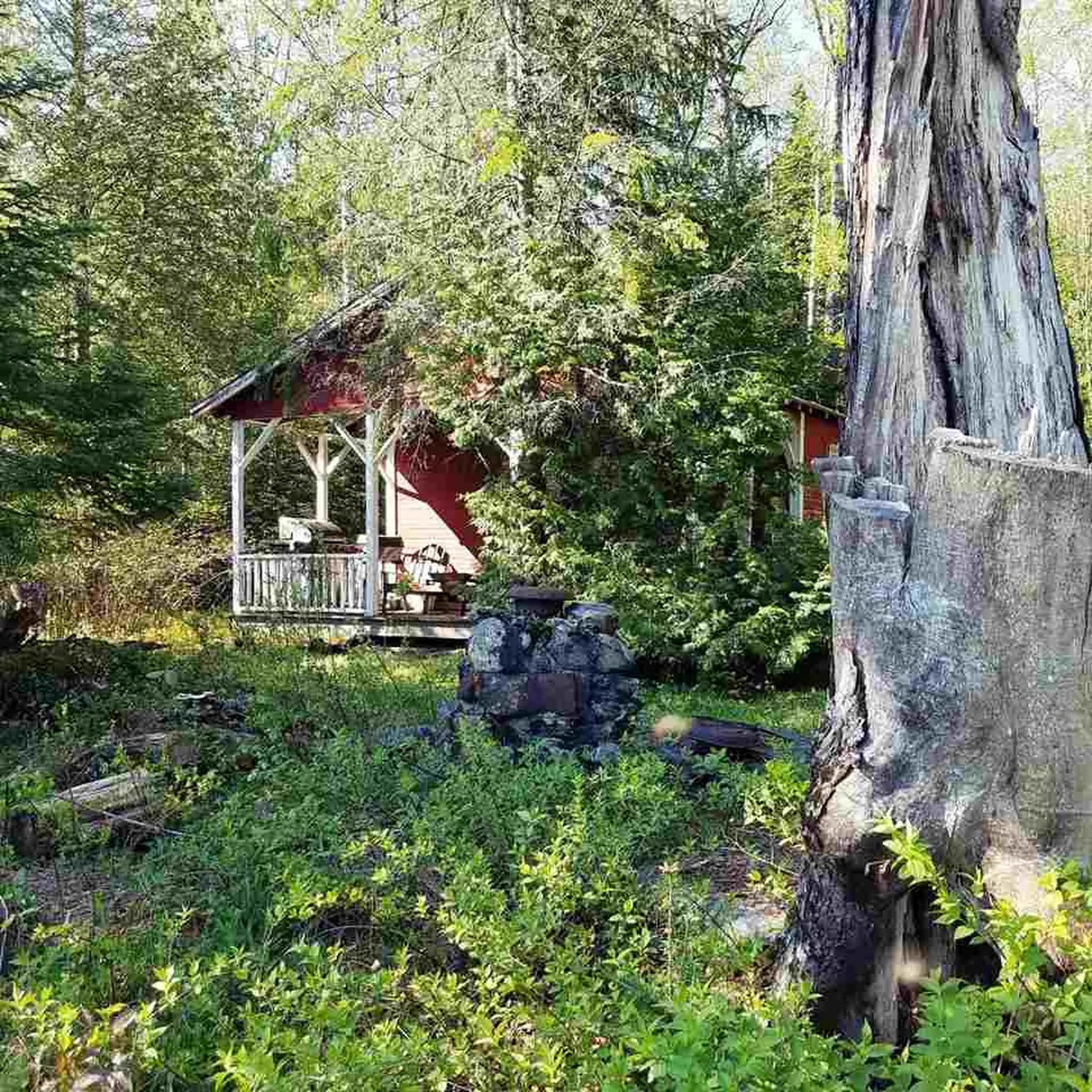 411 Martins Pond Lane Peacham VT 05046
