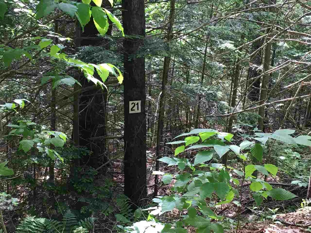 21 South Ryder Pond Road Whitingham VT 05360