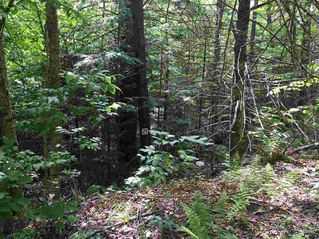 21 South Ryder Pond Road Whitingham VT 05360