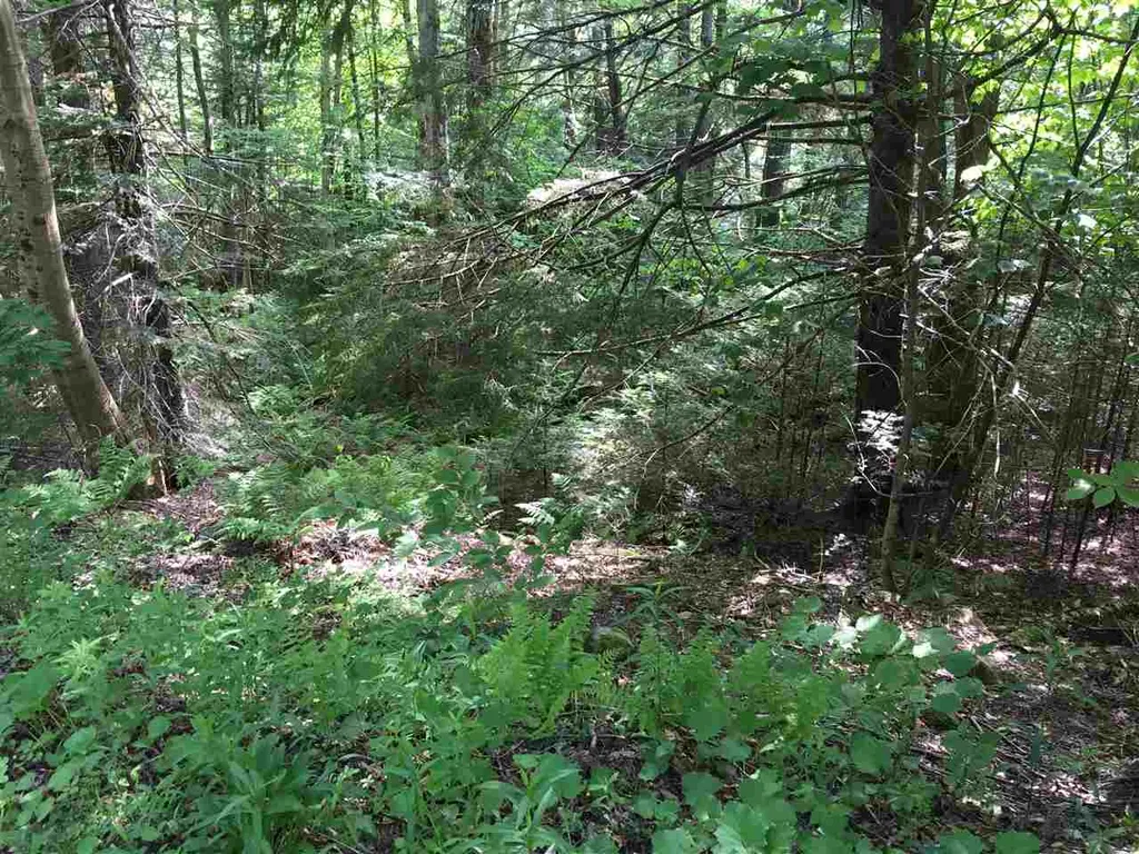 21 South Ryder Pond Road Whitingham VT 05360