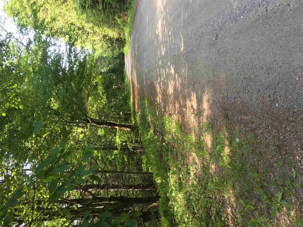 21 South Ryder Pond Road Whitingham VT 05360