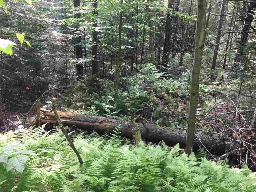21 South Ryder Pond Road Whitingham VT 05360