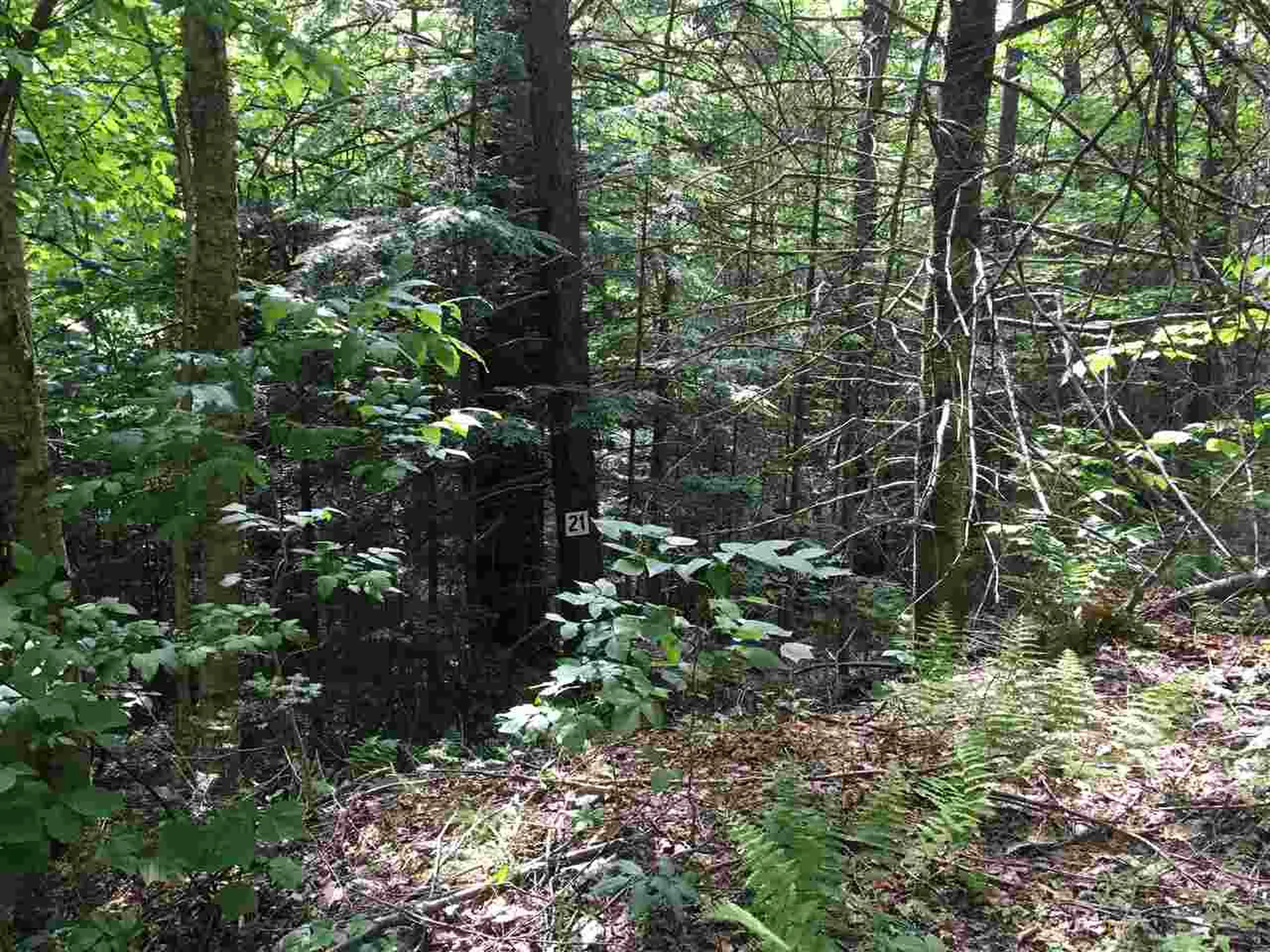 21 South Ryder Pond Road Whitingham VT 05360
