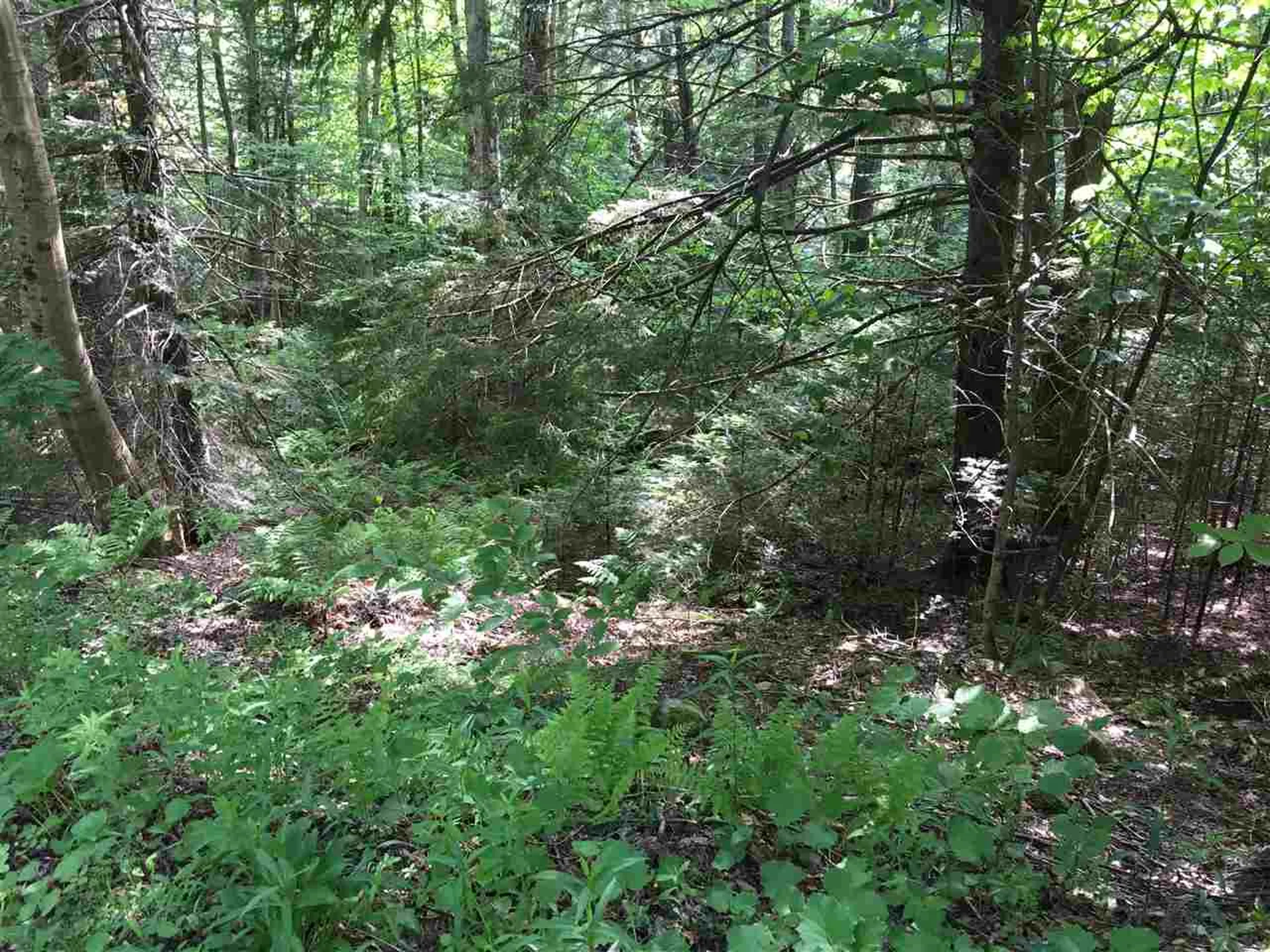 21 South Ryder Pond Road Whitingham VT 05360