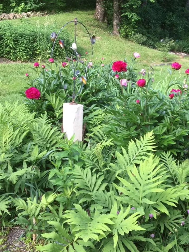 10 Number Nine Hill Road Fayston VT 05673