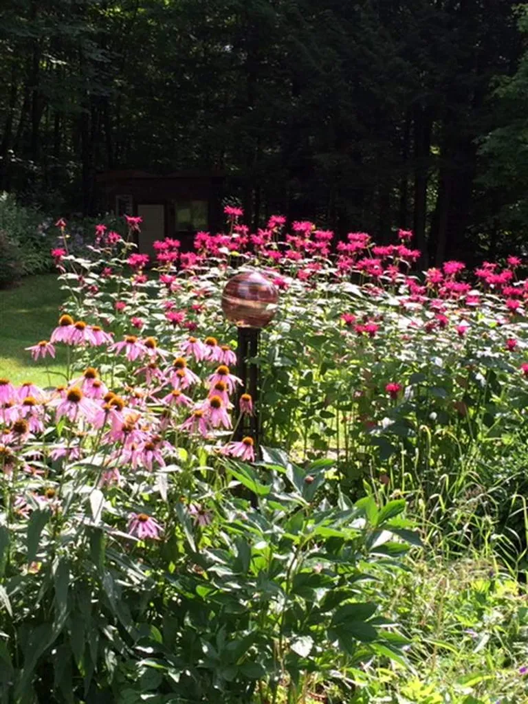 10 Number Nine Hill Road Fayston VT 05673
