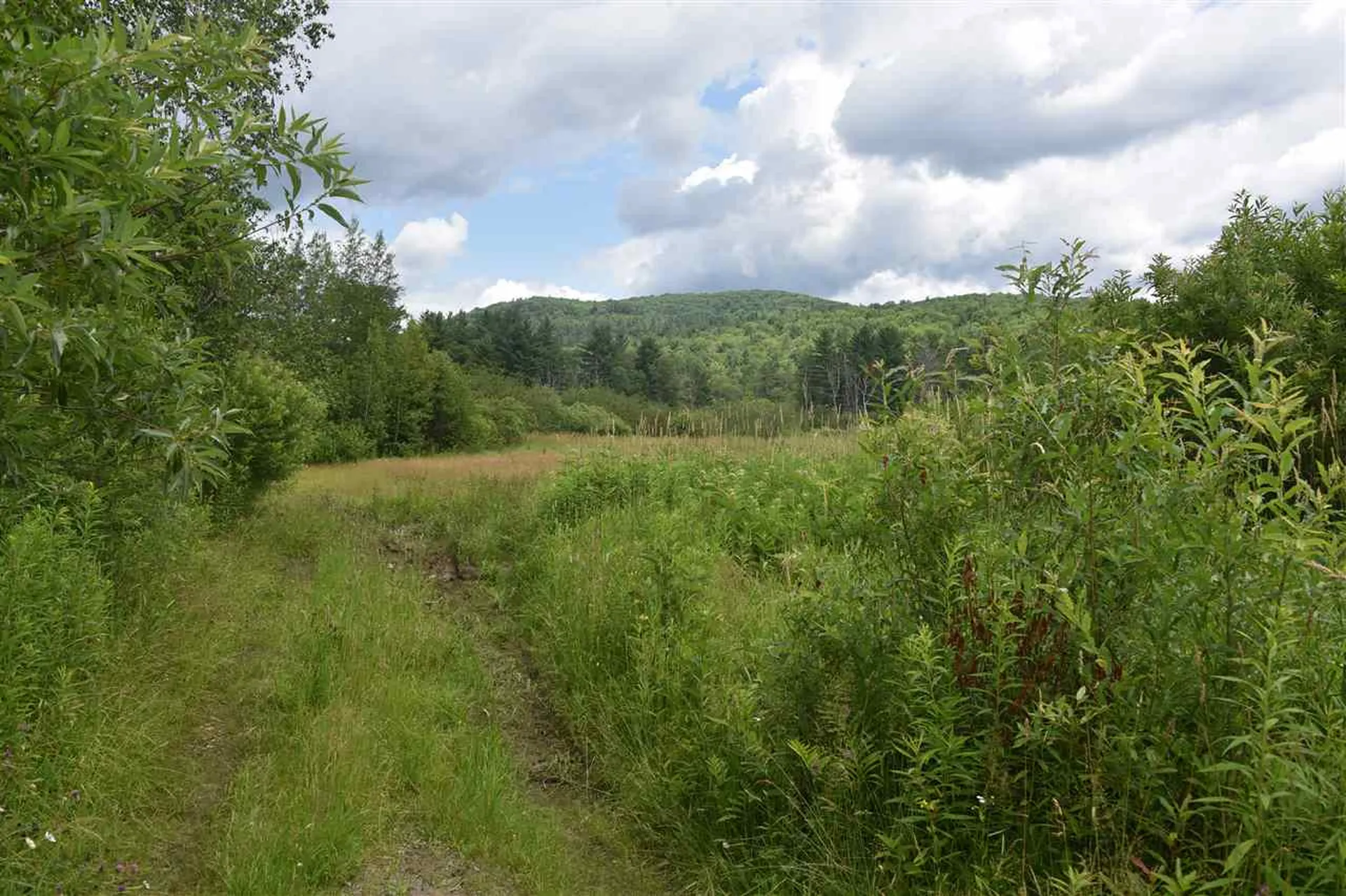 195 Nashville Road Jericho VT 05465