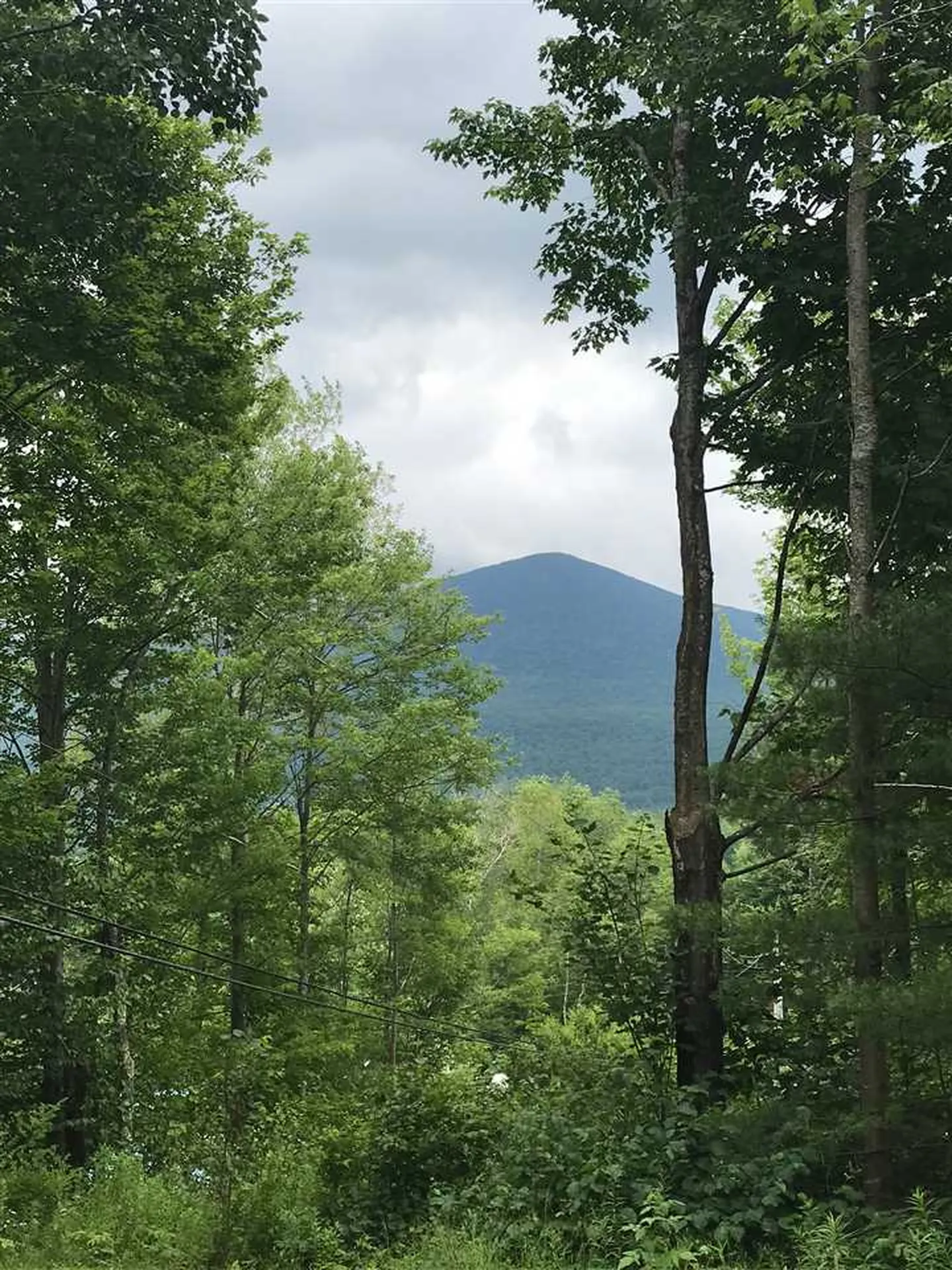 88 Martell Road Lincoln VT 05443