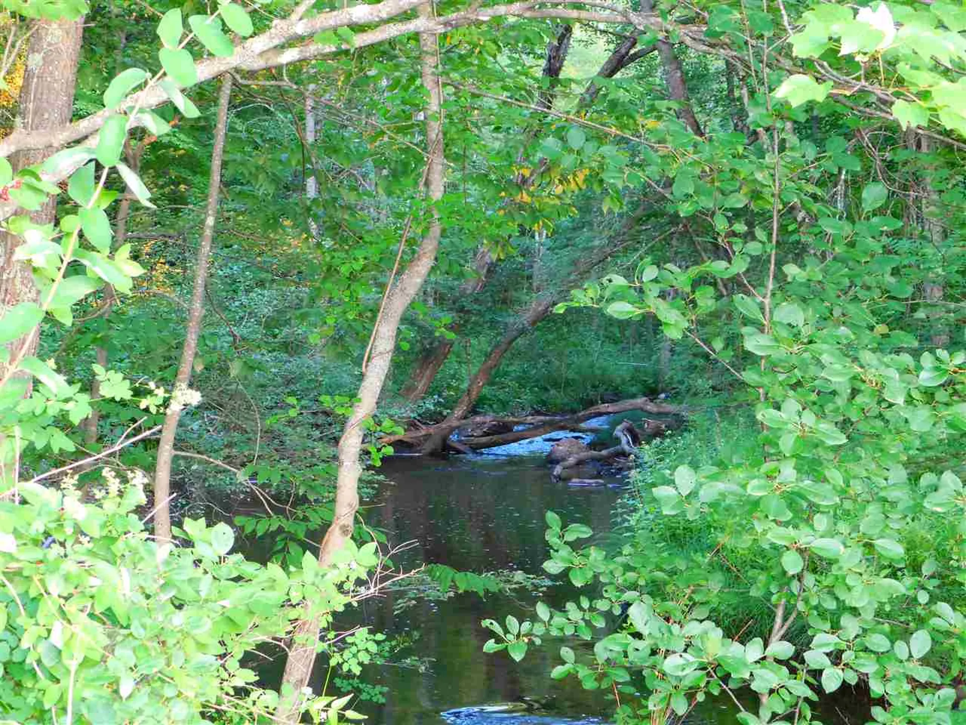 13 Meadow Road Harrisville NH 03450