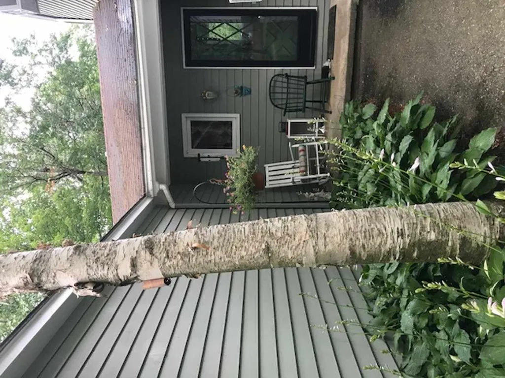 286 Aurielle Drive Colchester VT 05446