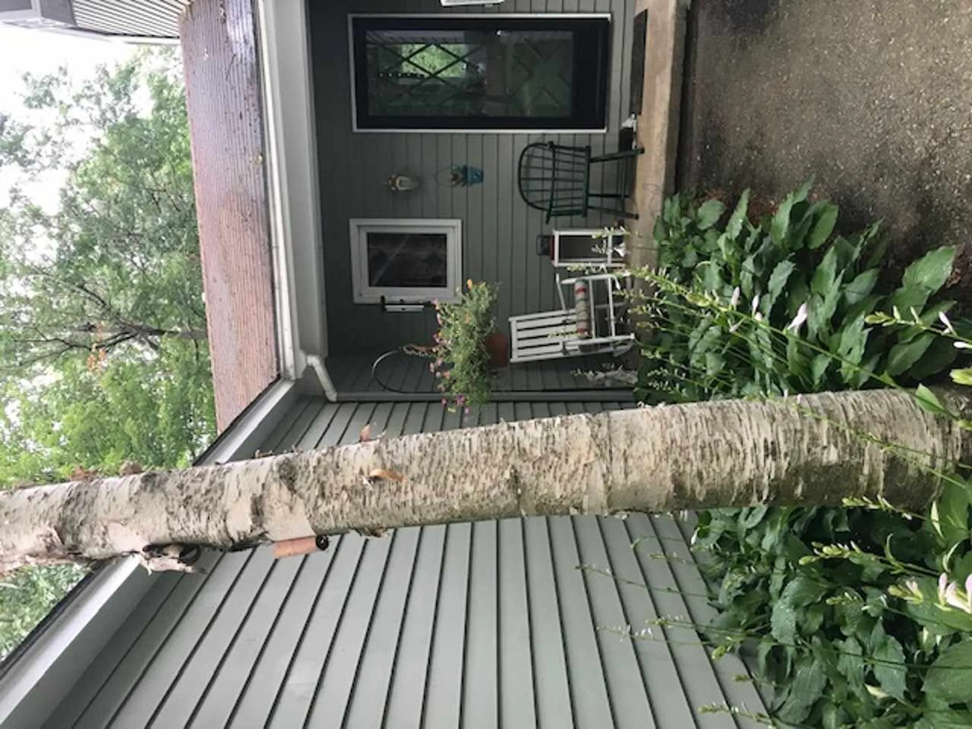 286 Aurielle Drive Colchester VT 05446