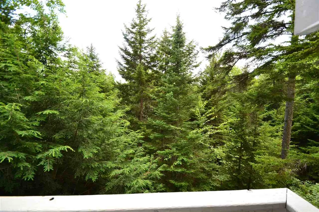 414 Golf Course Road Warren VT 05674
