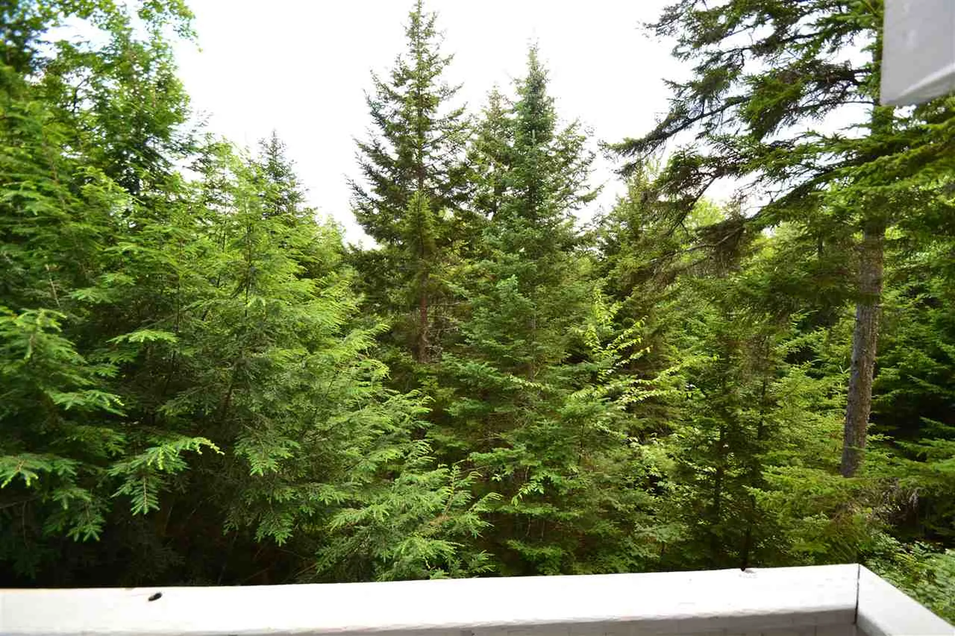 414 Golf Course Road Warren VT 05674