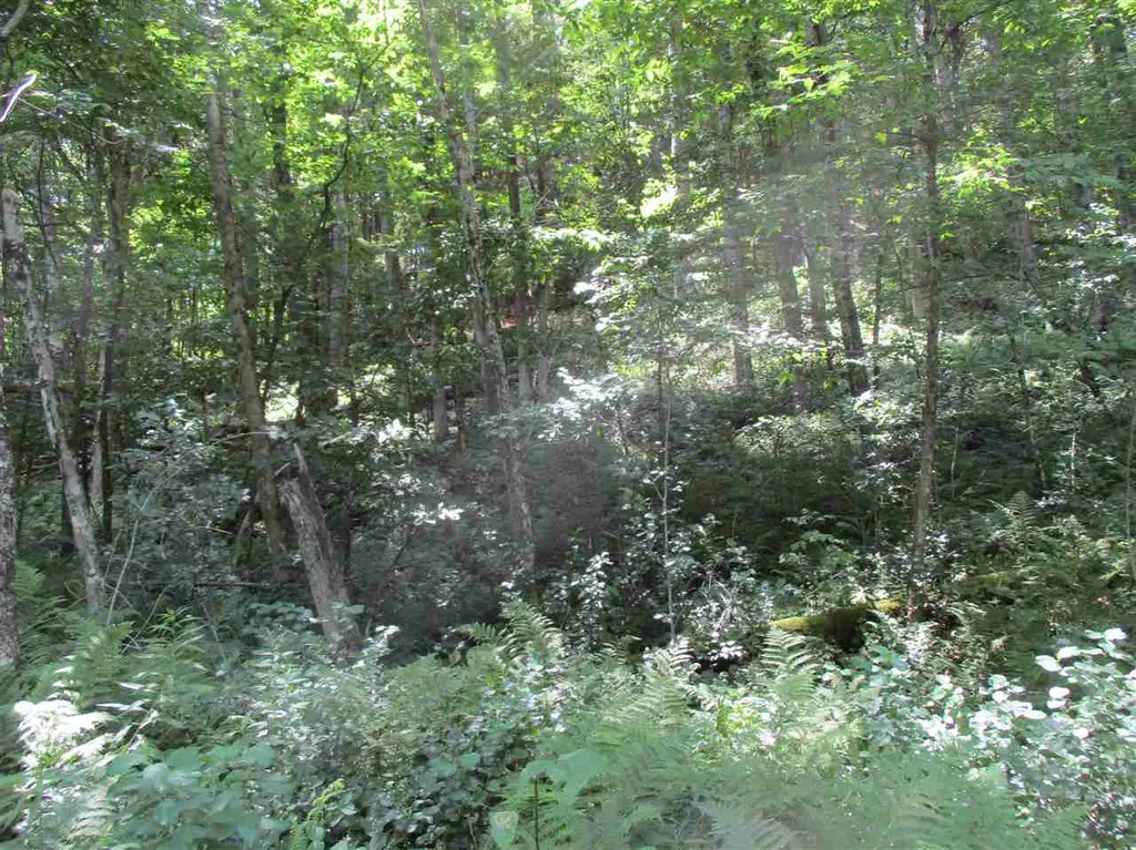 0 Twin Ponds Road Brookfield VT 05036