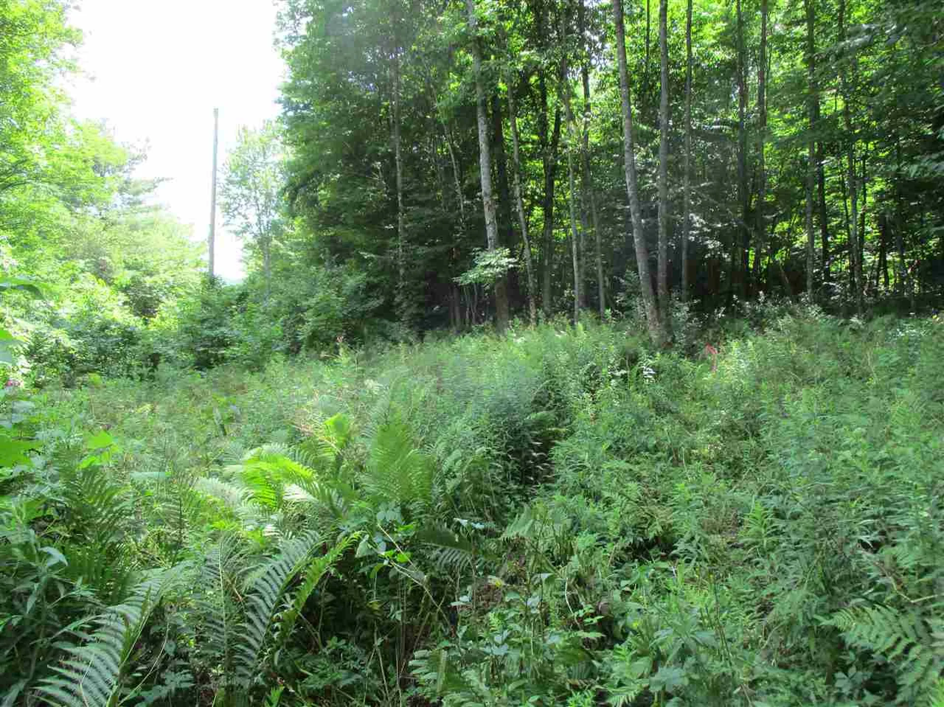 0 Twin Ponds Road Brookfield VT 05036