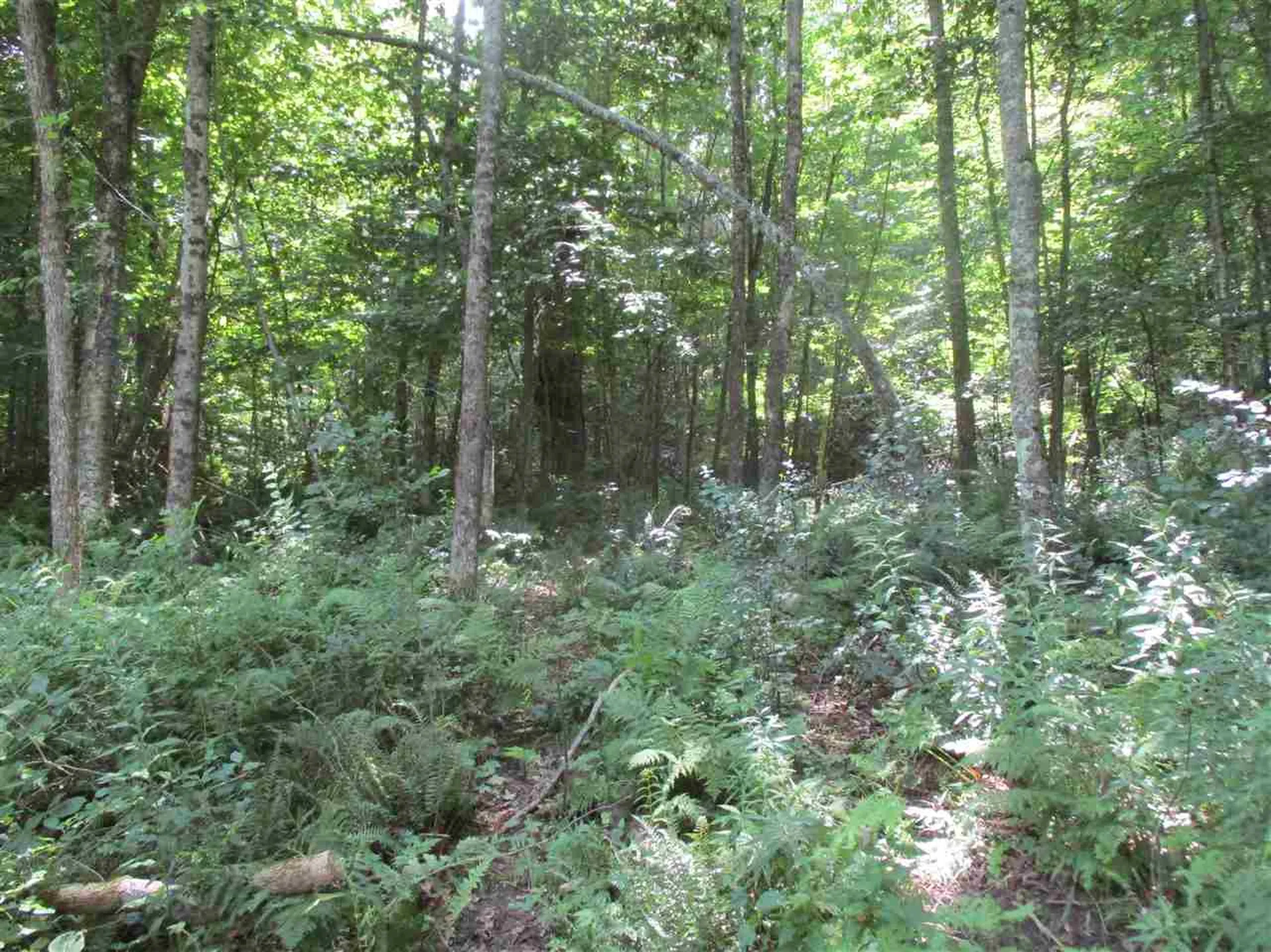 0 Twin Ponds Road Brookfield VT 05036