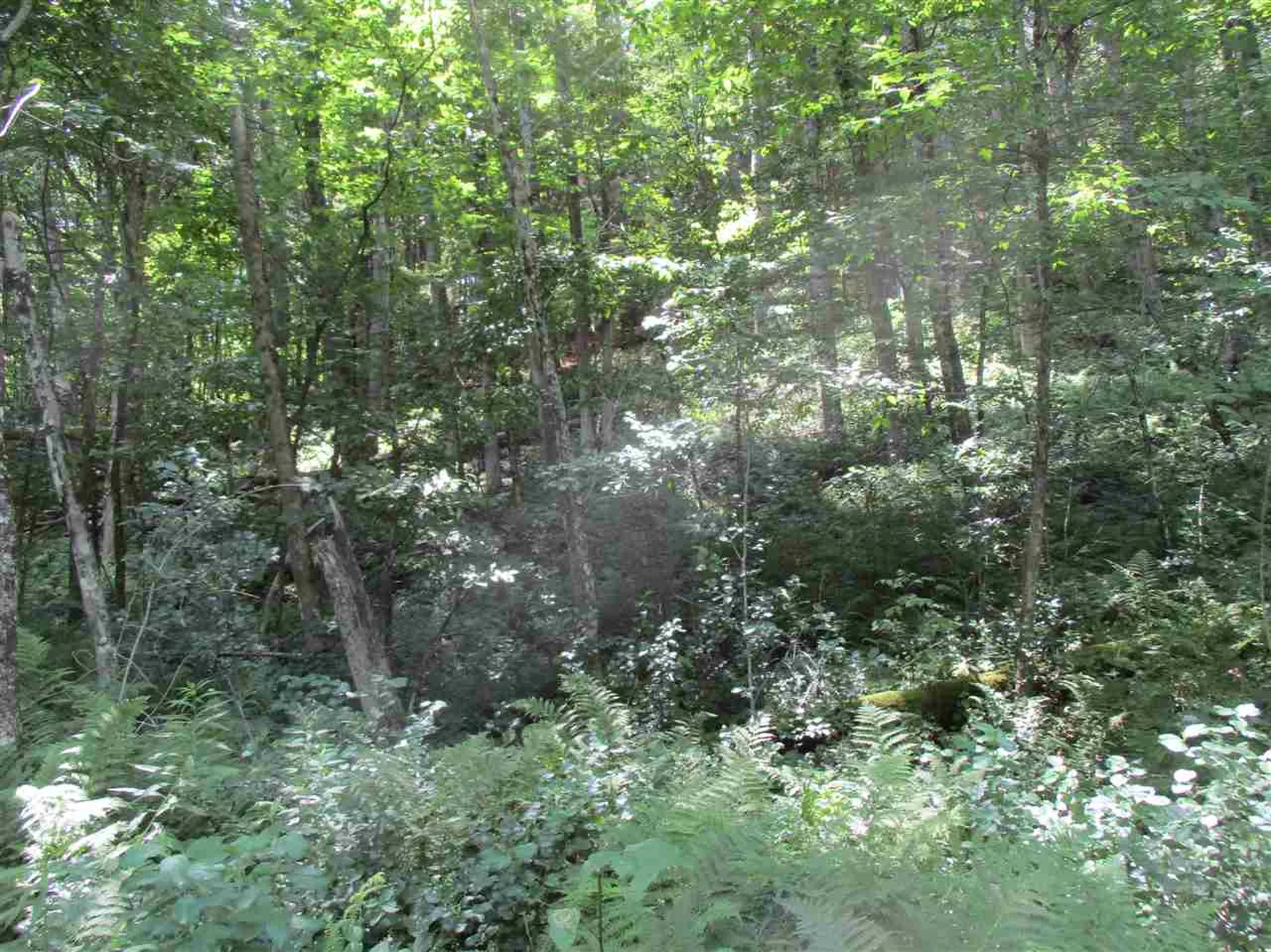 0 Twin Ponds Road Brookfield VT 05036