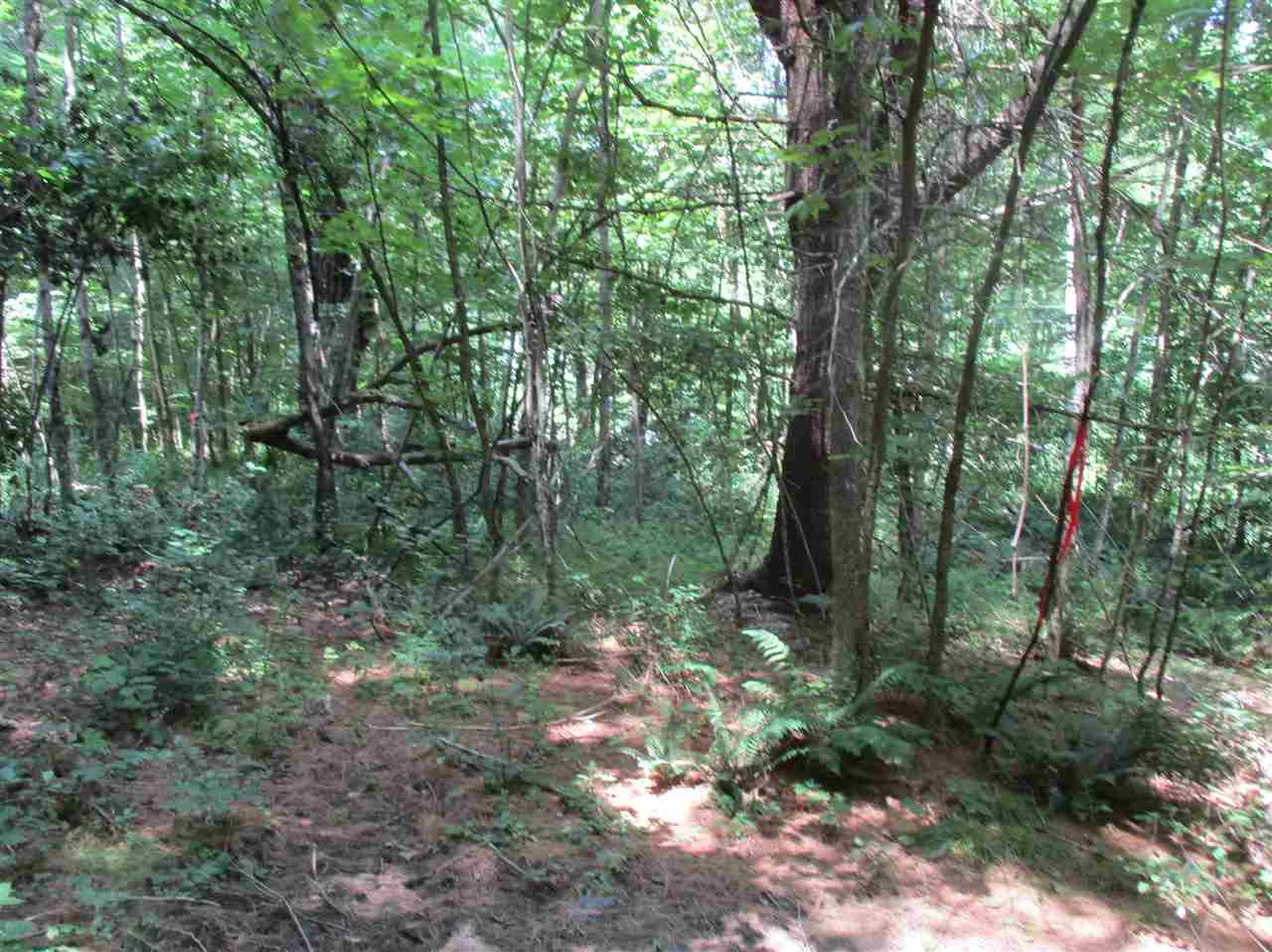 0 Twin Ponds Road Brookfield VT 05036