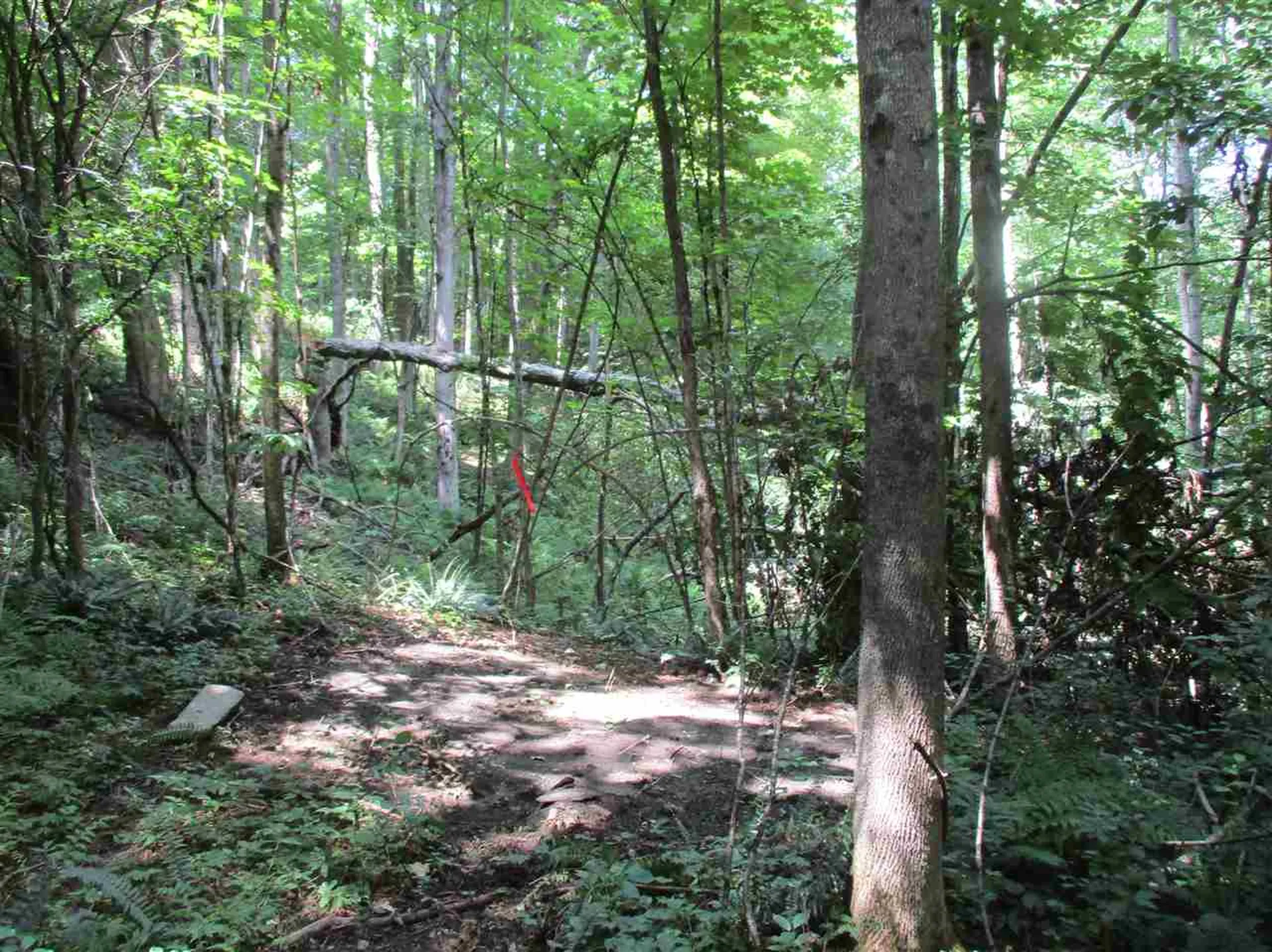 0 Twin Ponds Road Brookfield VT 05036