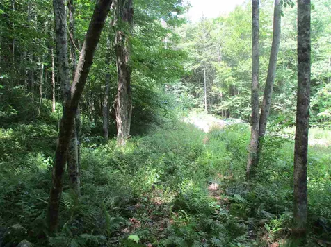 0 Twin Ponds Road Brookfield VT 05036