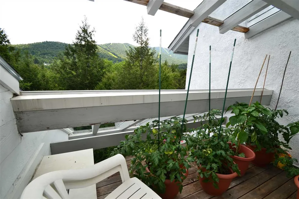 102 Bridges Resort Road Warren VT 05674