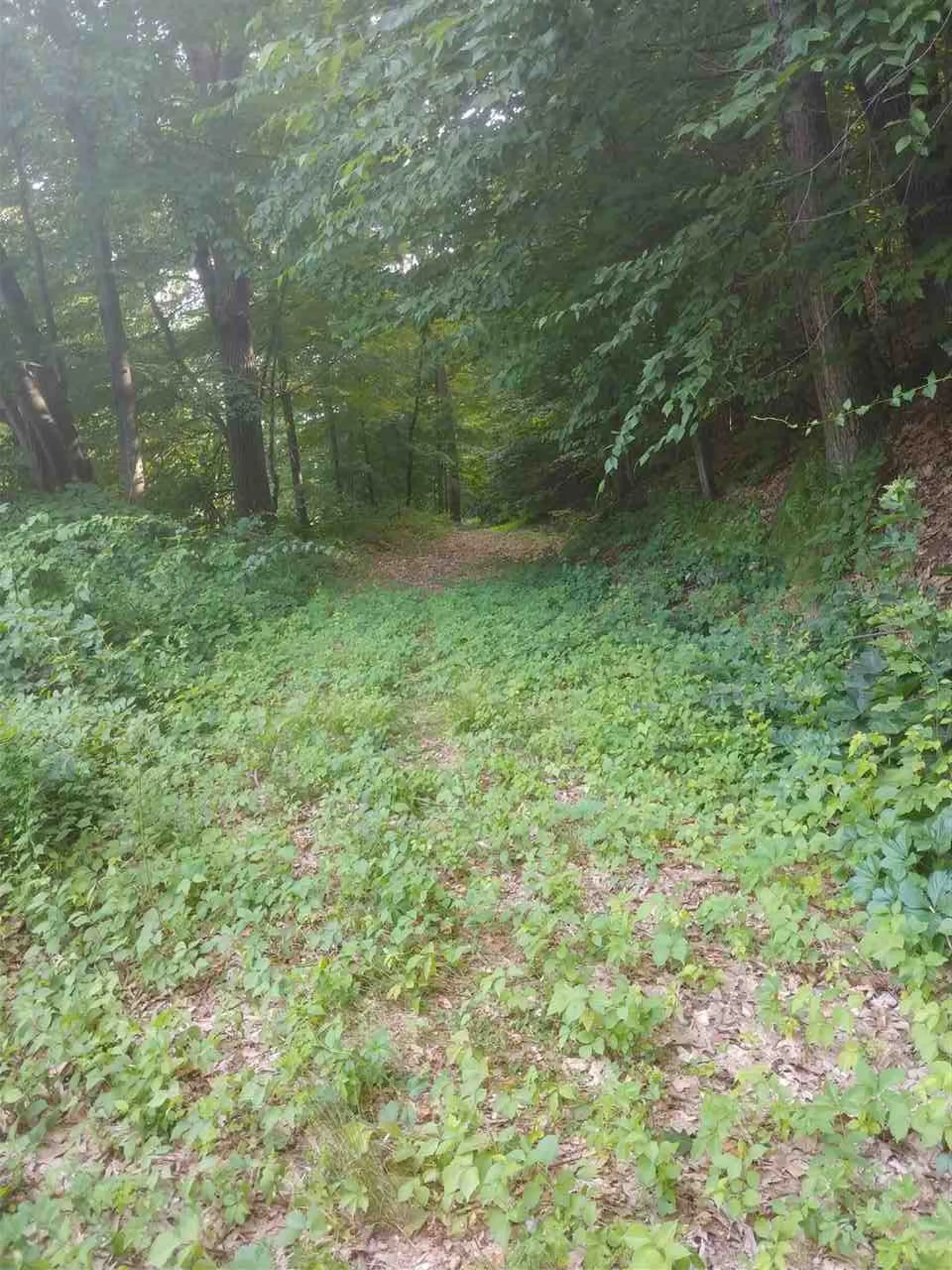 0 Ferry Road Brattleboro VT 05301